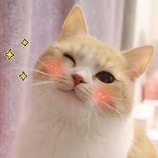 Figurinhas_shit 2