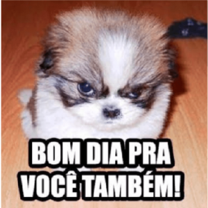 Figurinhas de Bom Dia para WhatsApp Engraçadas