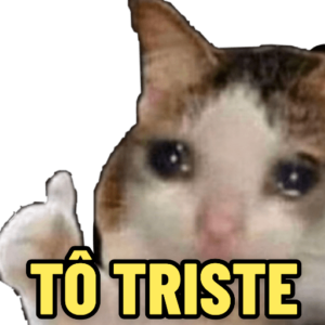 Memes Úteis