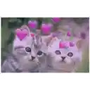 figurinhas gatos com corações