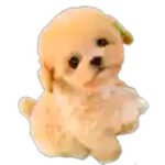 figurinhas filhotes de cachorros