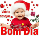 Feliz Natal Bom dia