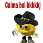 Os Memes da atualidade