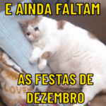 Natal Chegando
