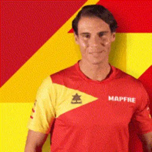 Figurinha futebol rafael nadal espanha whatsapp