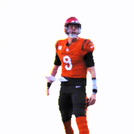 Figurinha esportes bengals whatsapp